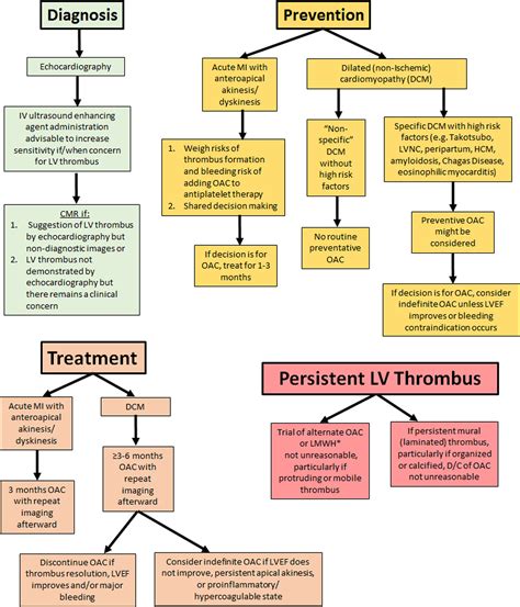 lv thrombus treatment timeline